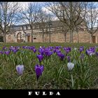 Fulda