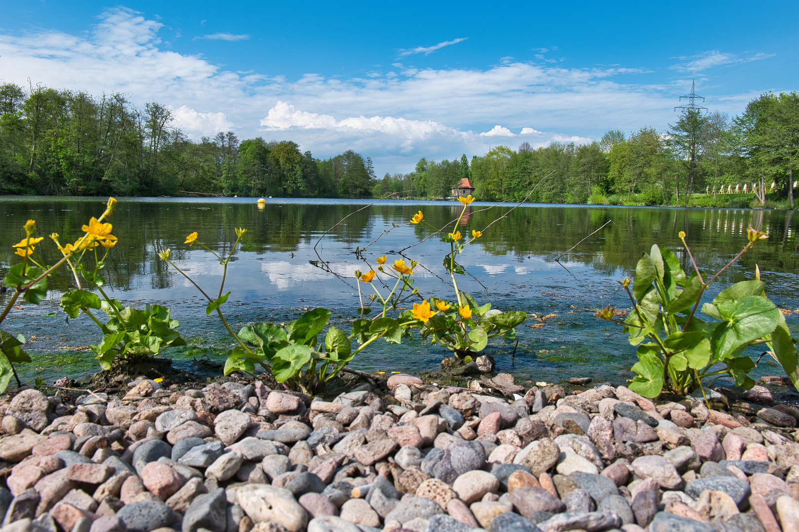 Fuldaer Auenlandschaft