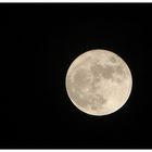 >>> Full moon <<<