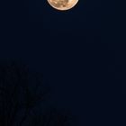 Full Moon