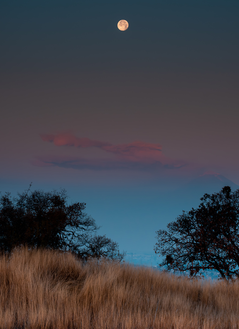 Full Moon in the morning hours