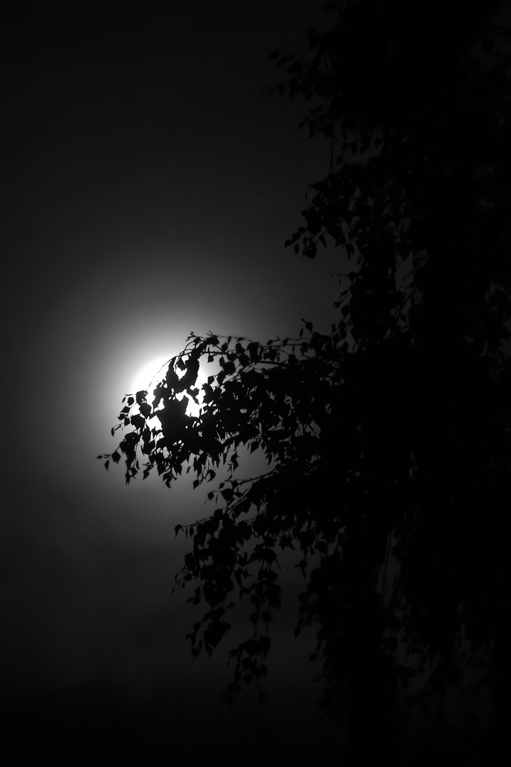 Full Moon on 30-08-2015, Rosendahl-Darfeld, Germany