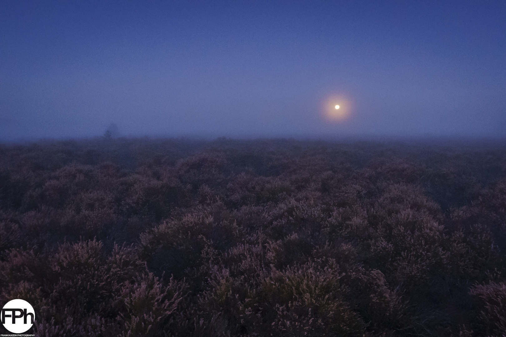  Full moon over moorland