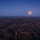  Full moon over moorland