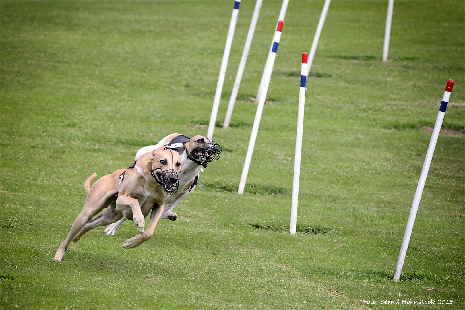 Full Speed .... beim Training