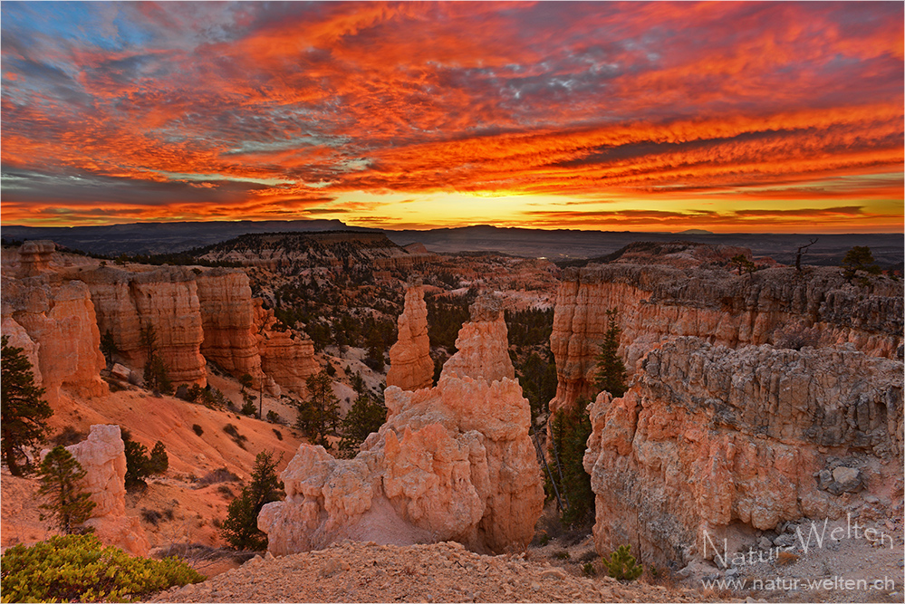 Fulminanter Morgen am Bryce Canyon