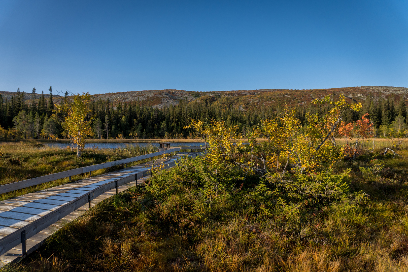 Fulufjället Nationalpark