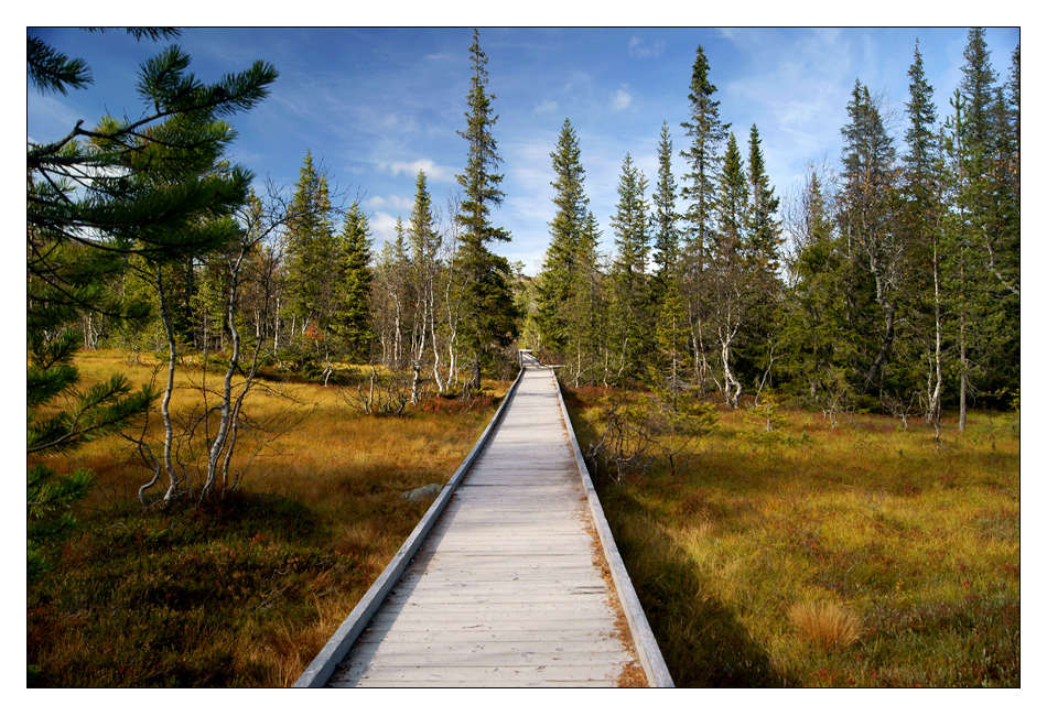 Fulufjället Nationalpark