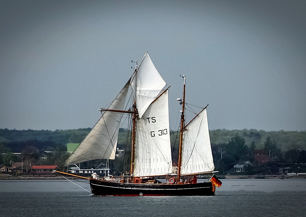 Fulvia af Anholt am Wind