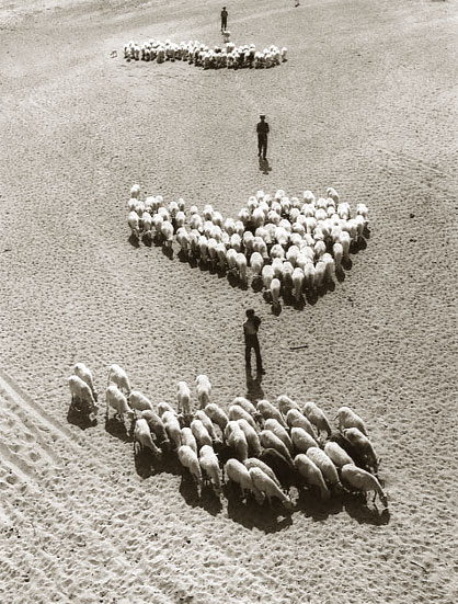 Fulvio Roiter - Andalusia