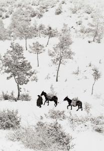 Fulvio Roiter - Terre de Sant Francois