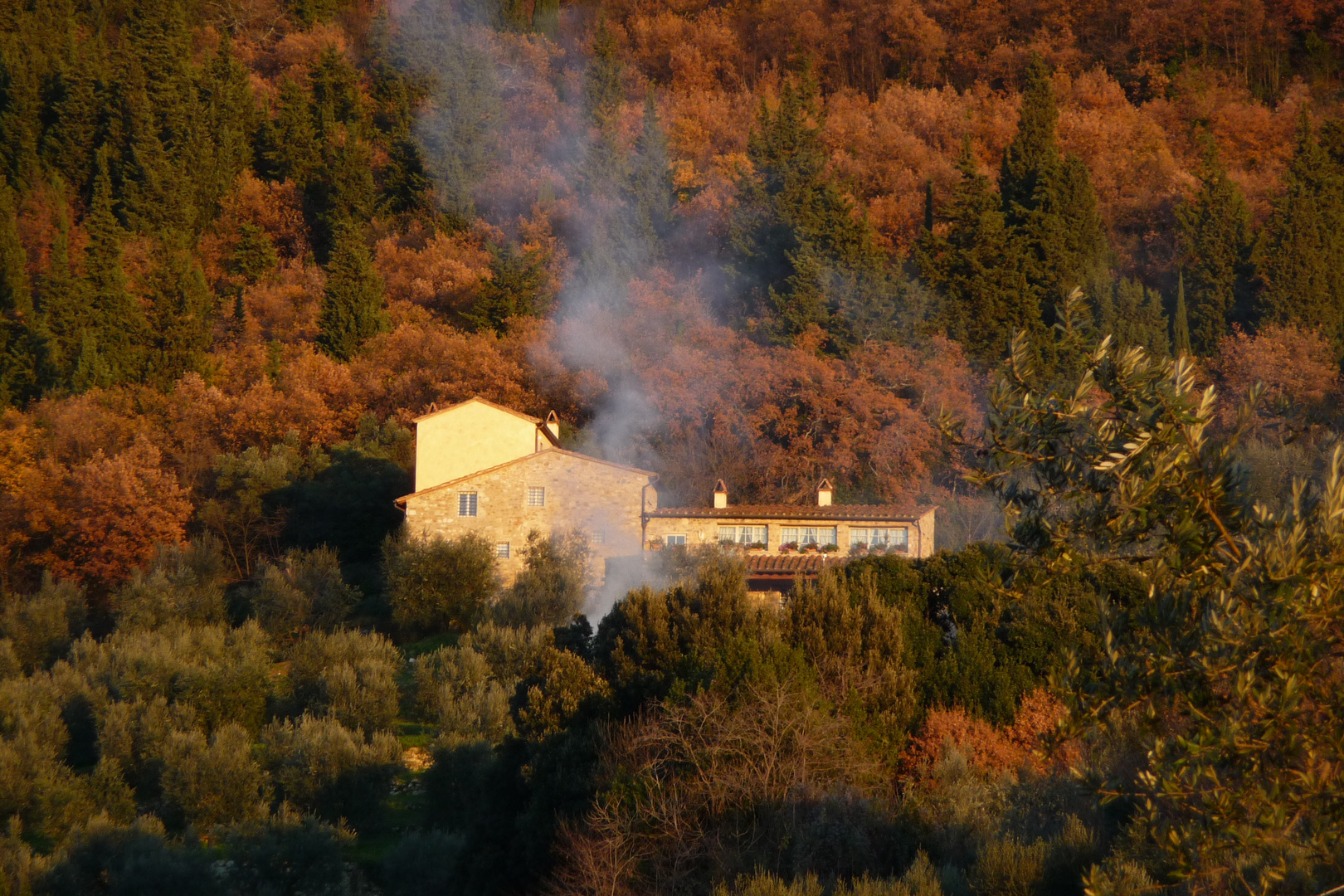 Fumata azzurrina odorosa di ulivo.