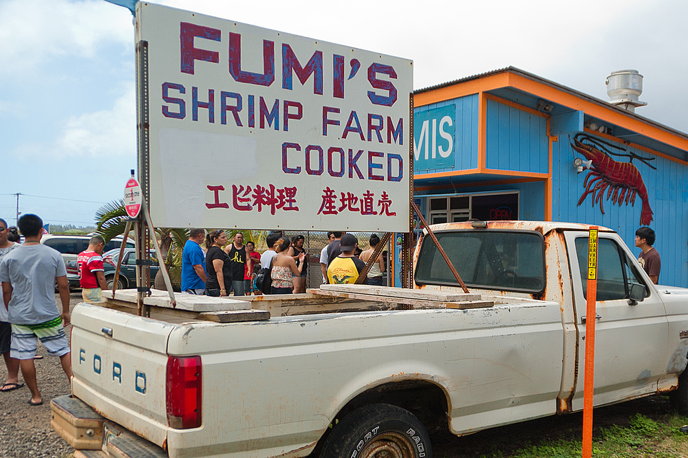 Fumi's Shrimp Farm