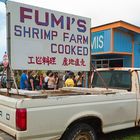 Fumi's Shrimp Farm
