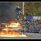 Fun- & Action Stuntshow