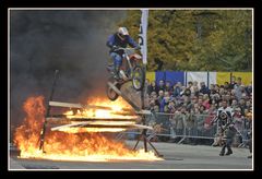 Fun- & Action Stuntshow