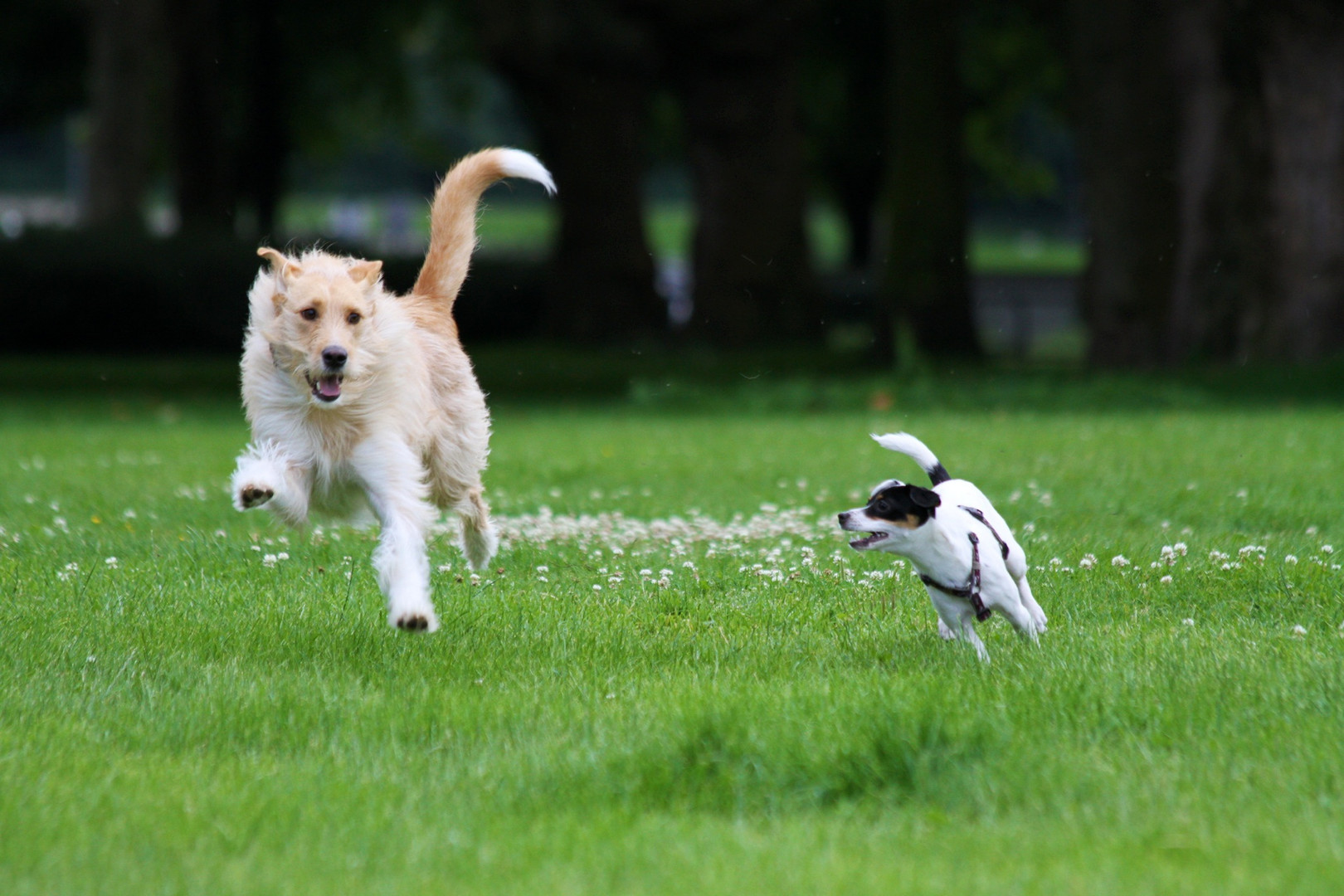 Fun im Park