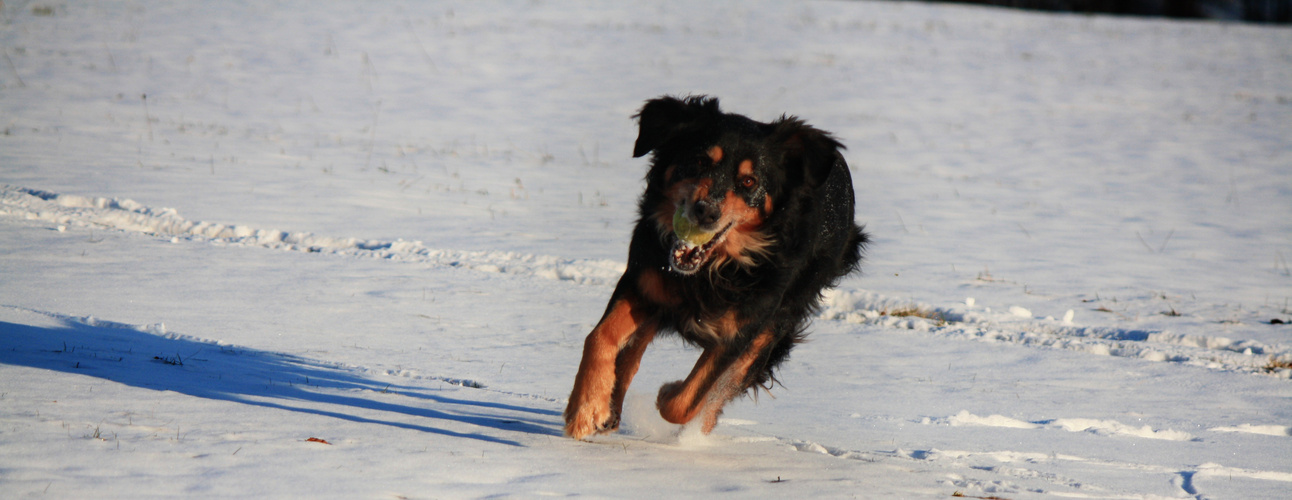 Fun in the Snow