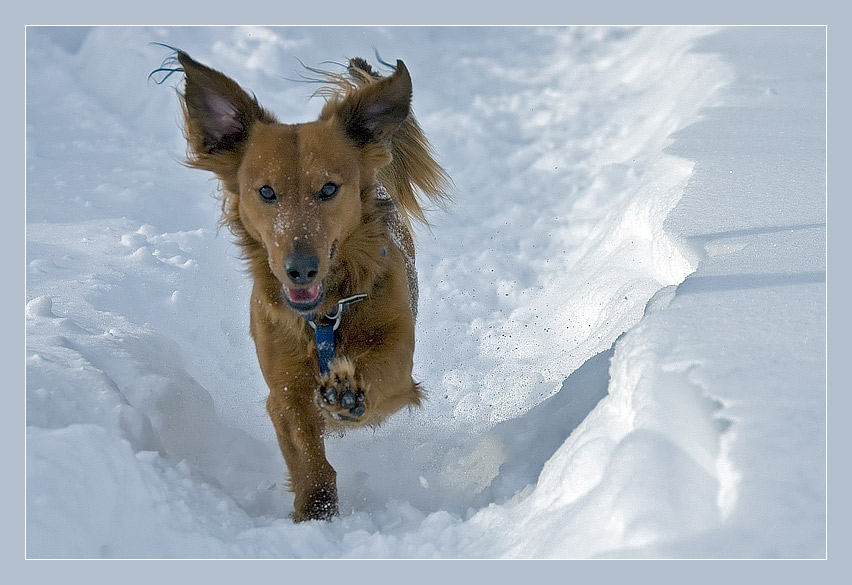 Fun in the snow, part II ...