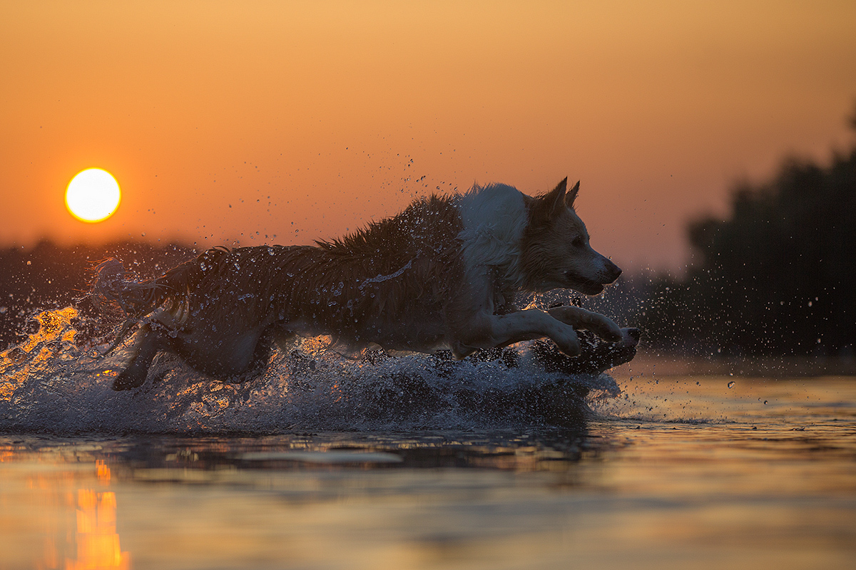 fun in the sun