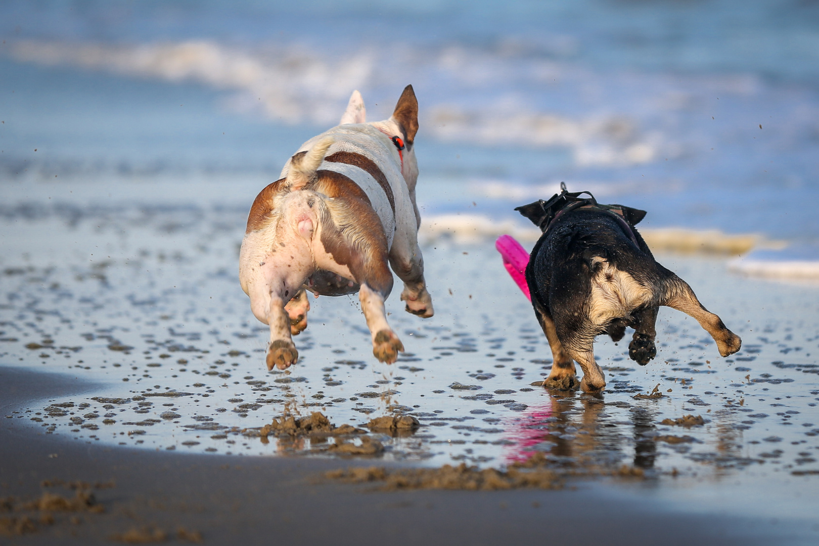 fun on the beach