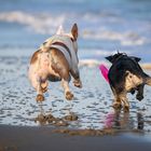 fun on the beach