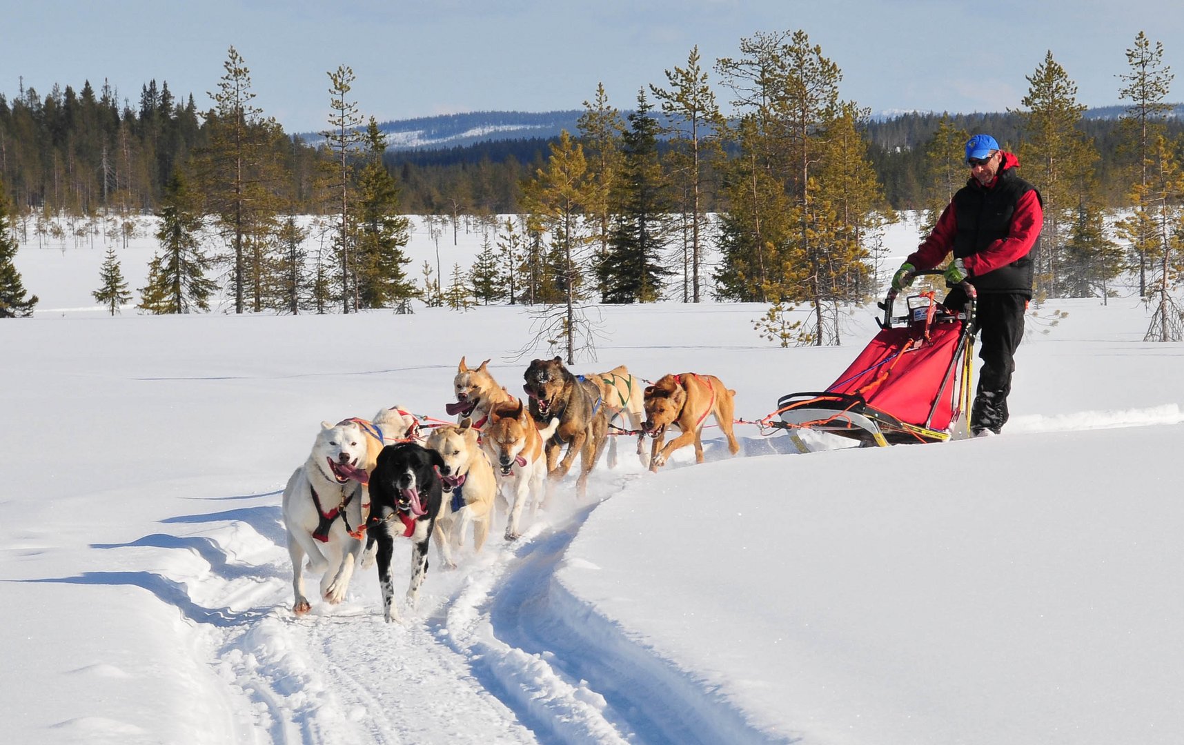 Fun Run in Kuusamo