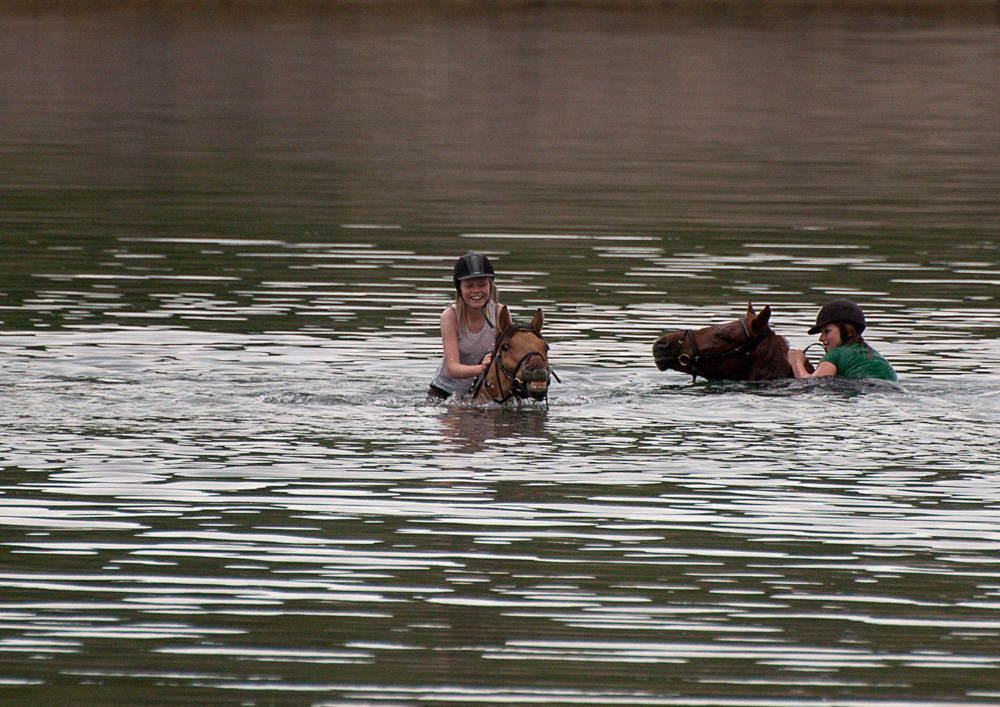 Fun with Horses