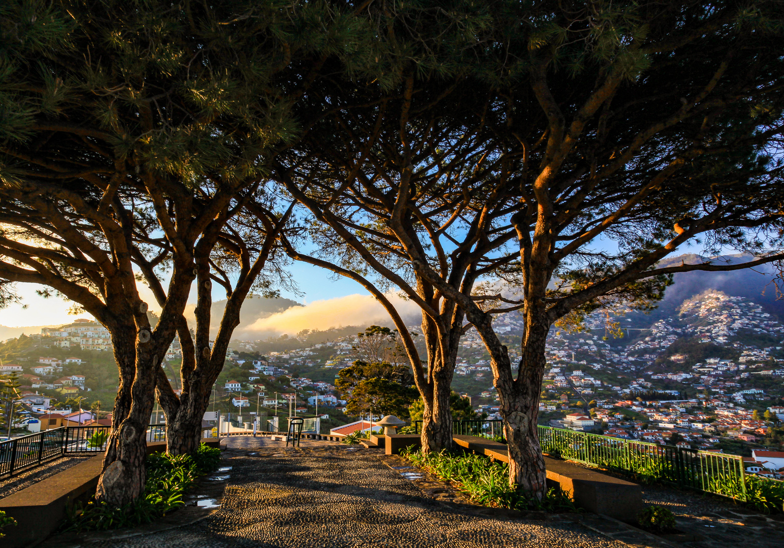 Funchal