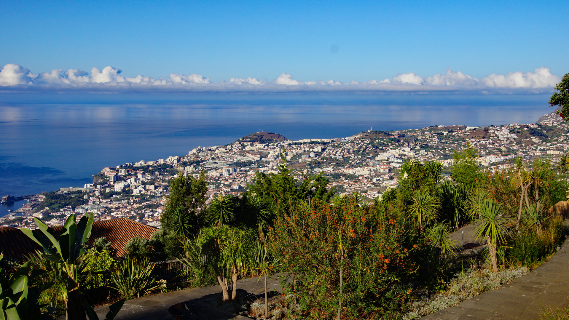 Funchal am Morgen