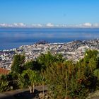 Funchal am Morgen