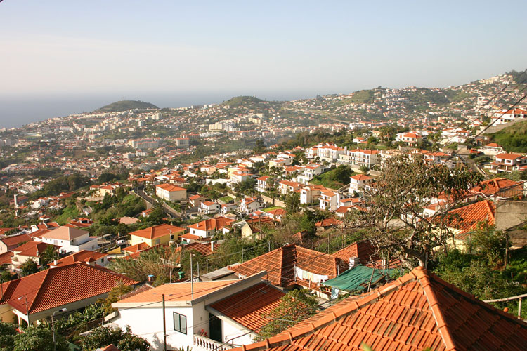 Funchal aus halber Höhe