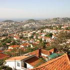 Funchal aus halber Höhe