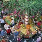 Funchal Blumen Markt