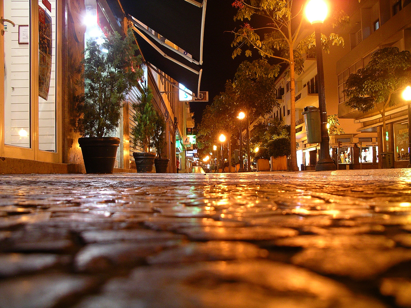 Funchal by Night