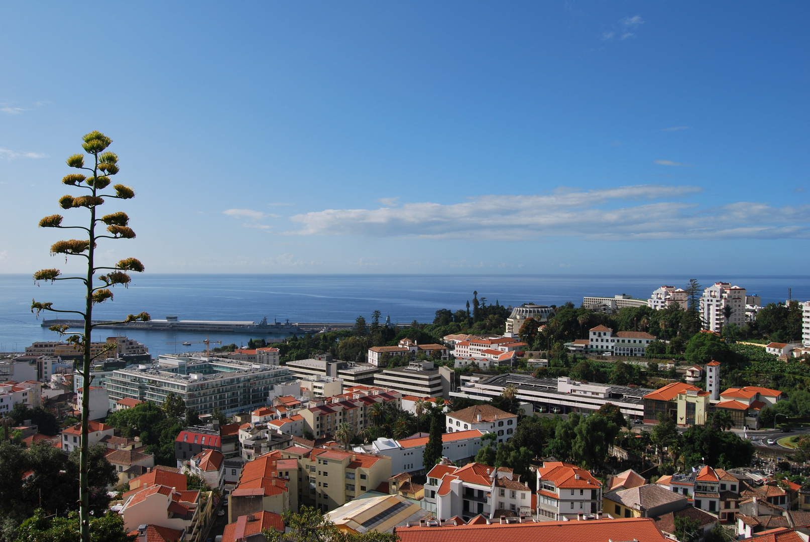 Funchal City