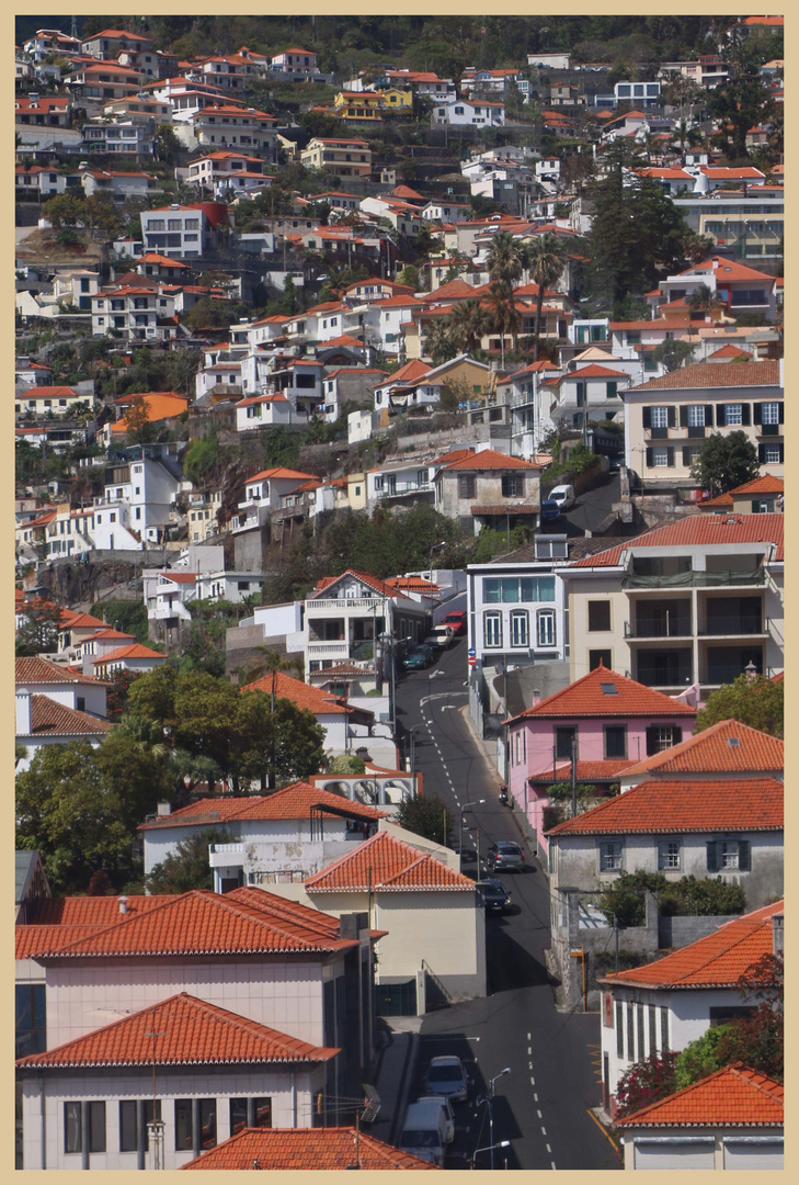 Funchal from the cable car 6