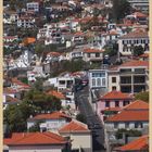 Funchal from the cable car 6