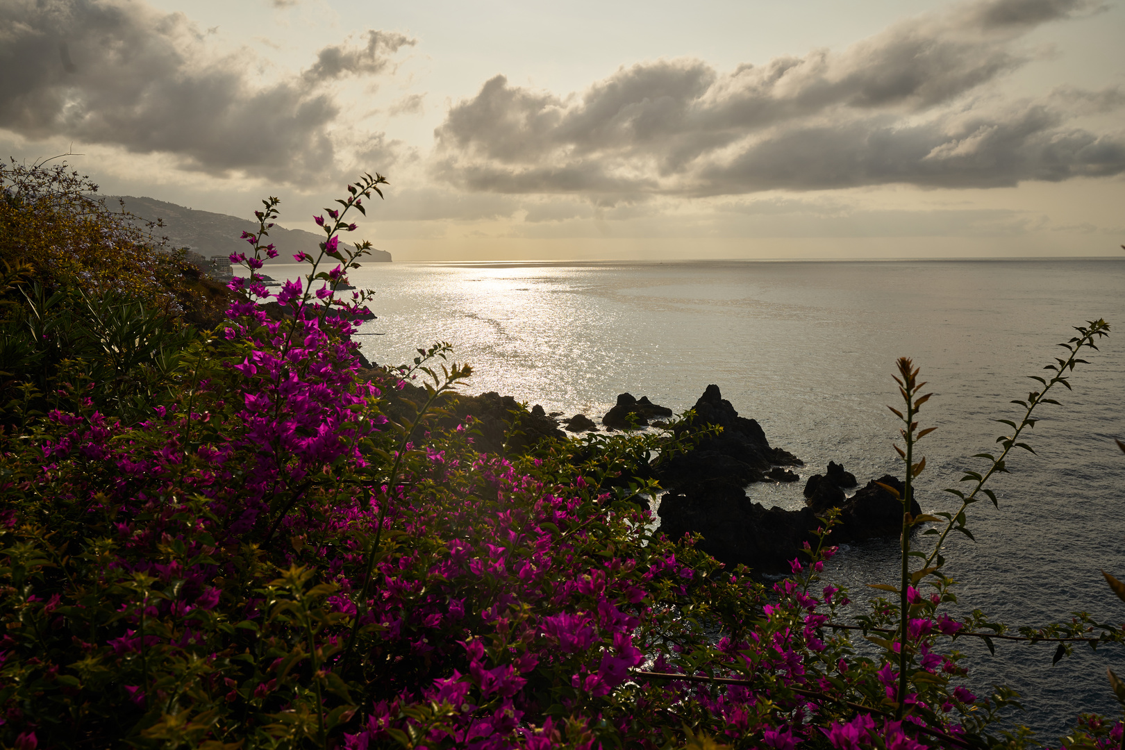 Funchal Küste