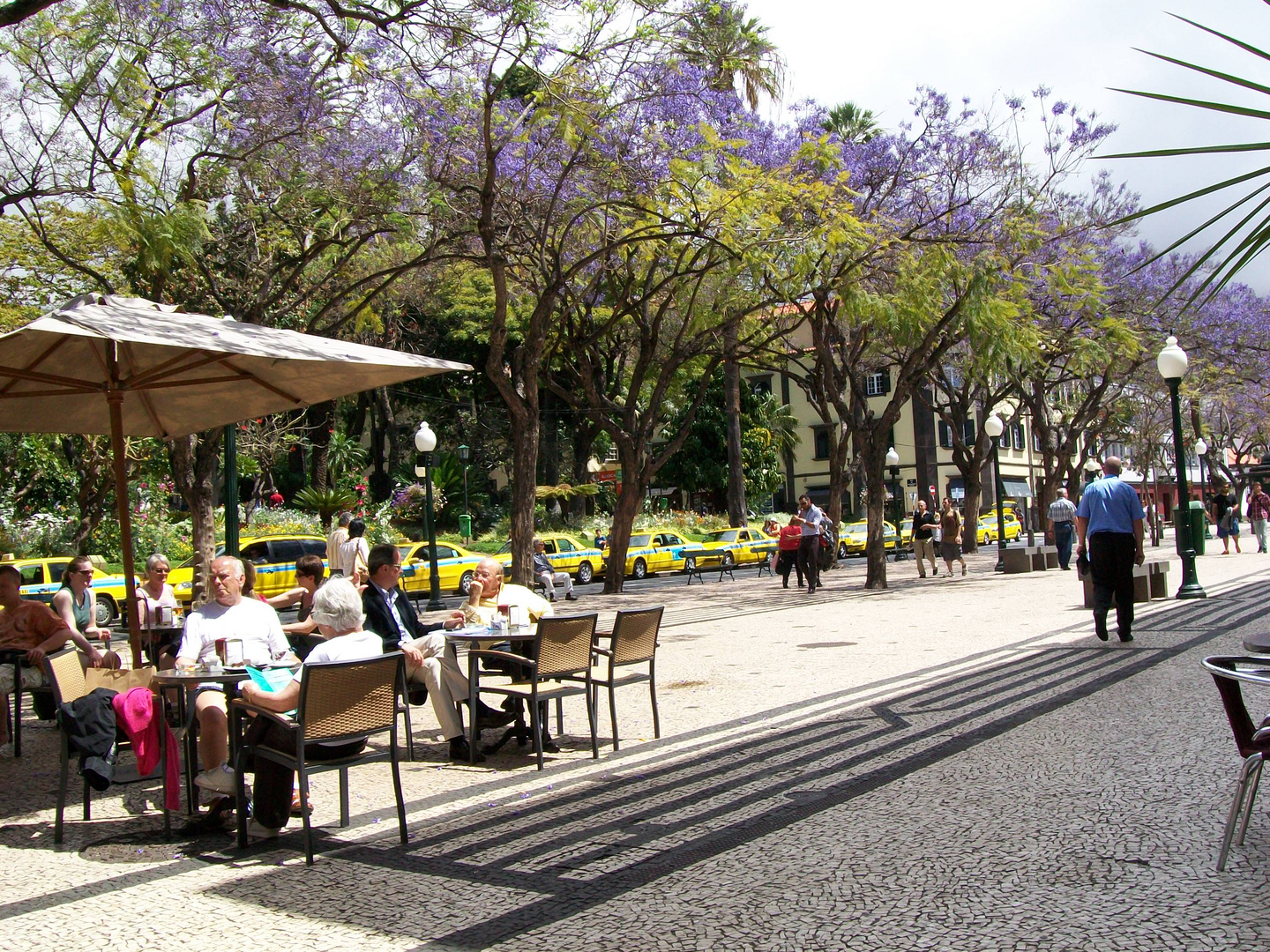 Funchal / Madeira 05/2012