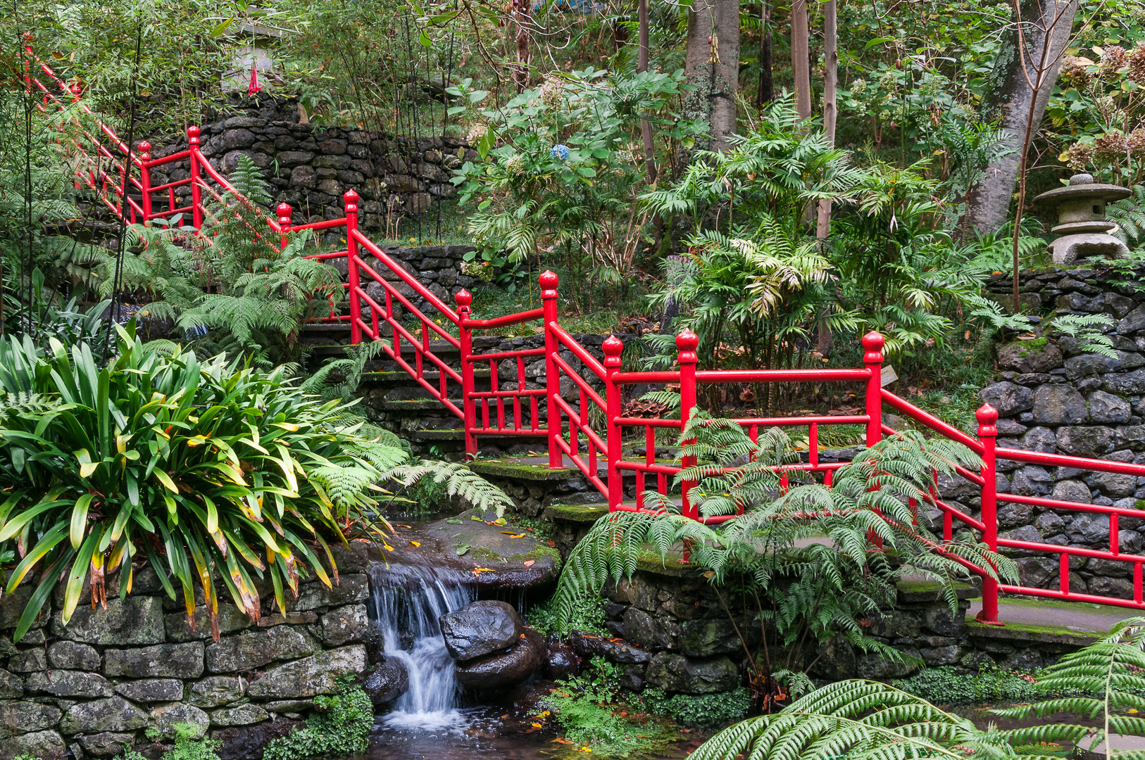 Funchal Madeira Botanischer Garten