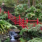 Funchal Madeira Botanischer Garten