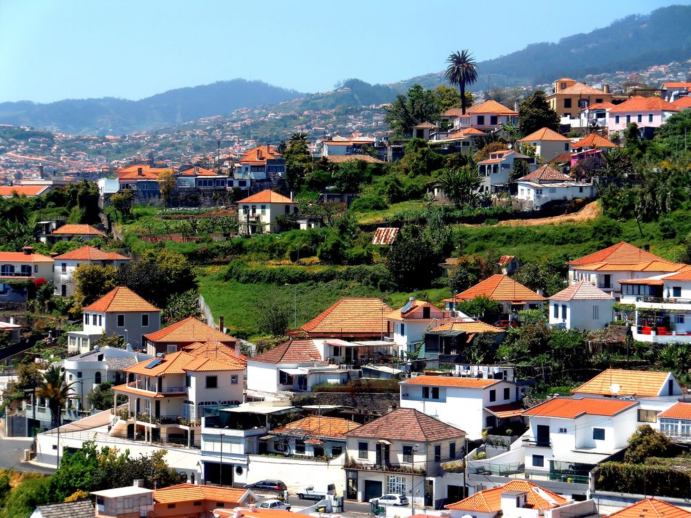 Funchal, Madeira (IV)