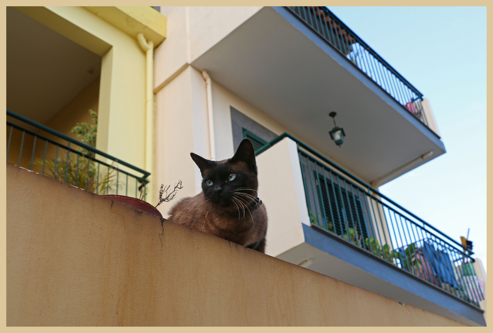 Funchal old town 12