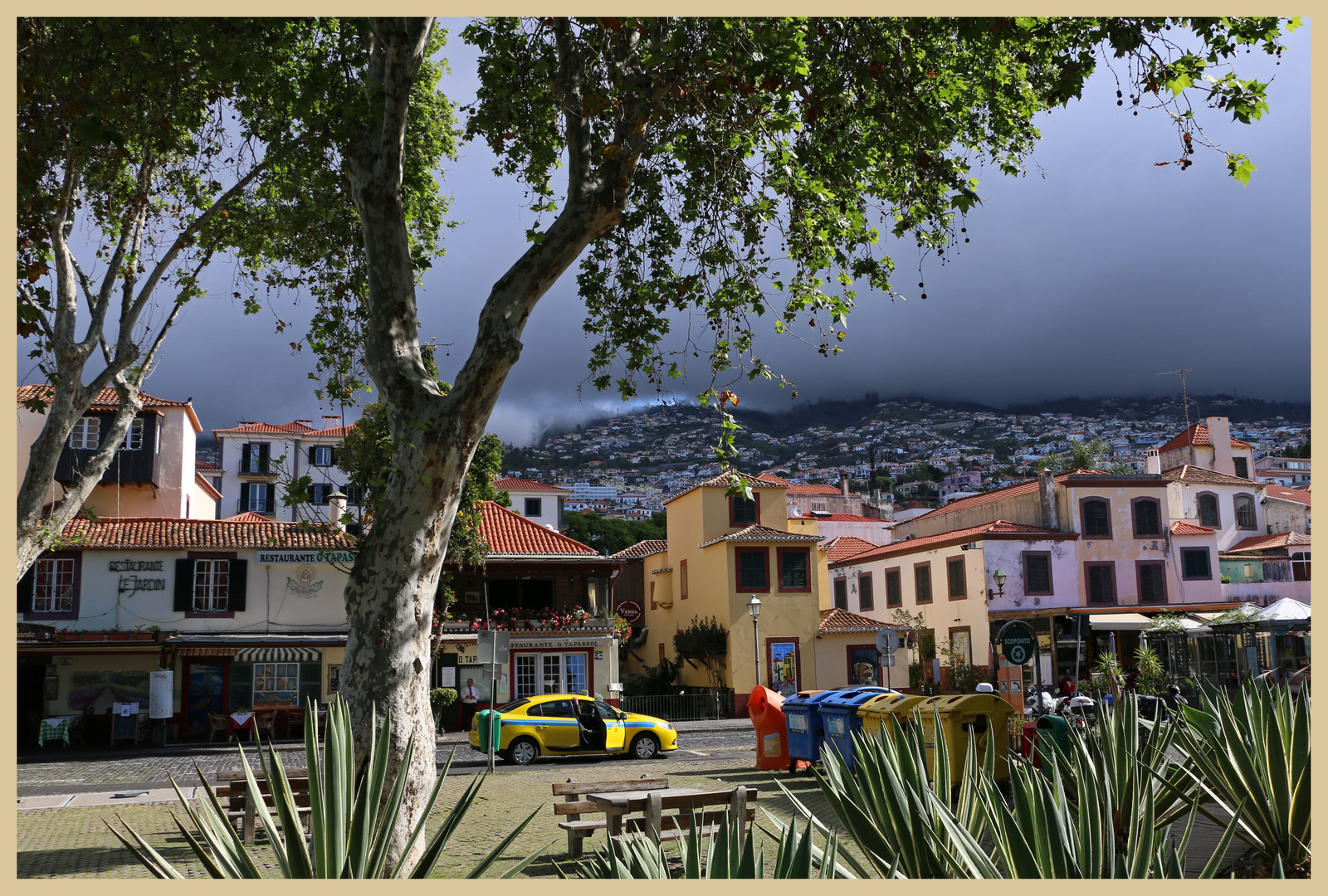 Funchal old town 9