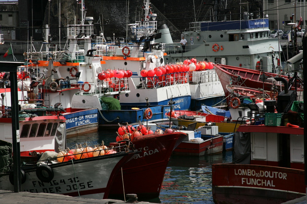 * funchal porto *