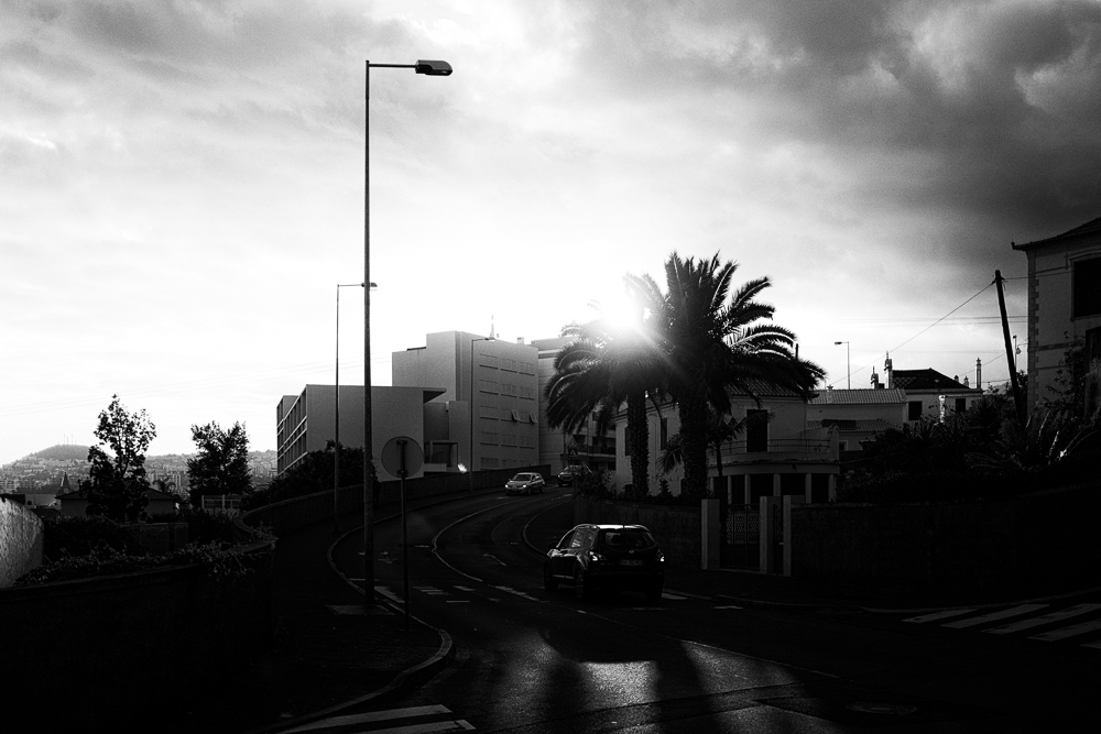 funchal street 172