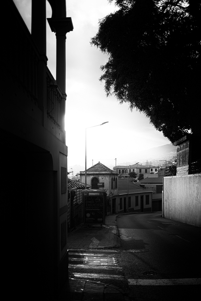 funchal street 173