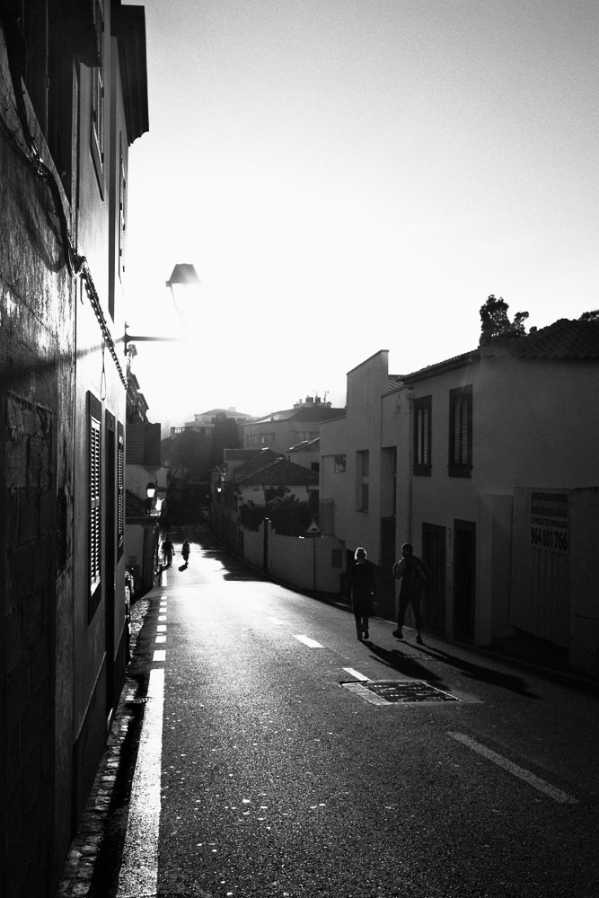 funchal street 174