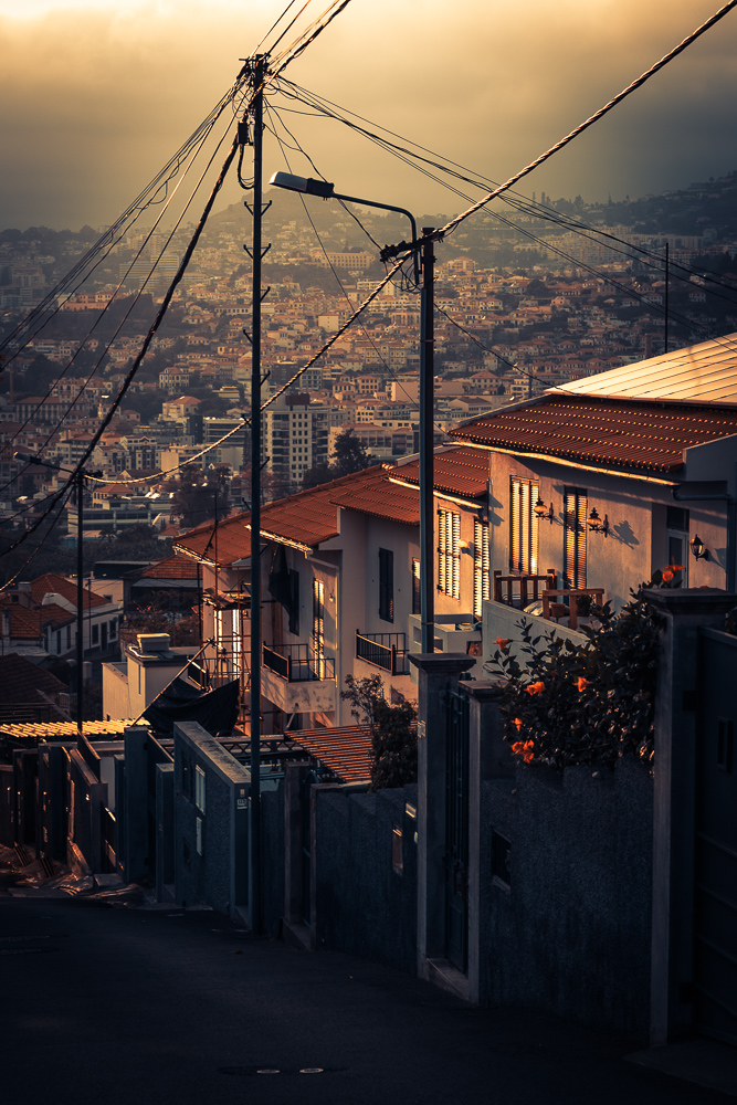 funchal street 60